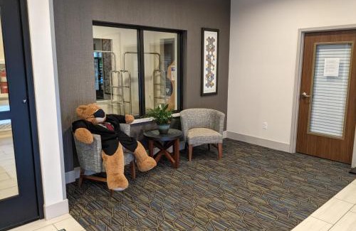 South Burlington Hotel | Holiday Inn Express South Burlington by IHG