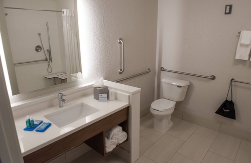 Granger Hotel | Holiday Inn Express & Suites Mishawaka - South Bend by IHG