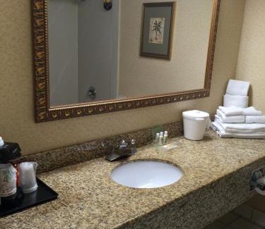 Lumberton Hotel | Holiday Inn Lumberton by IHG