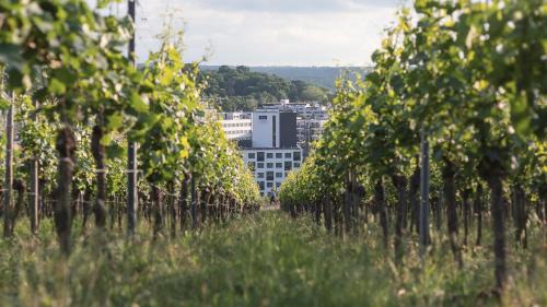 Feuerbach-Ost Hotel | Holiday Inn - the niu, Form Stuttgart Feuerbach by IHG