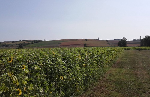 Tonco Apartment | Holiday Monferrato - LE GINESTRE - WI-FI AND PARKING FREE