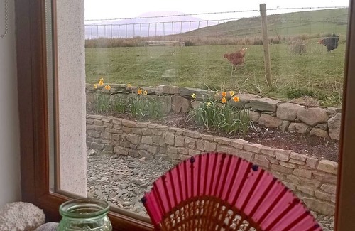 Killadoon House | Holiday on a working farm