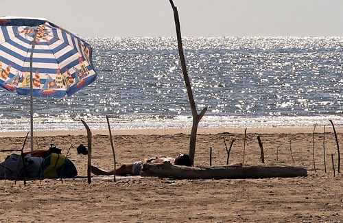 Lido di Dante House | Holiday park Classe - Chalet 4 (2805)