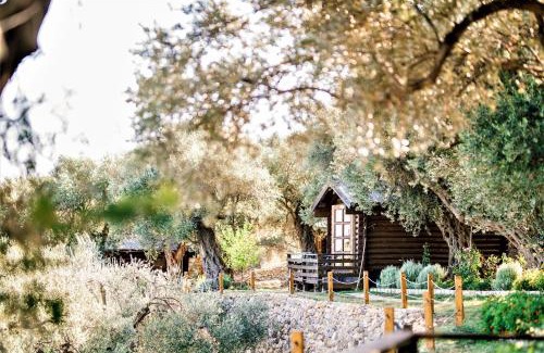 Ulcinj Resort | Holiday Park Olive Tree