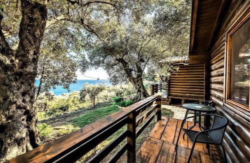 Ulcinj Resort | Holiday Park Olive Tree