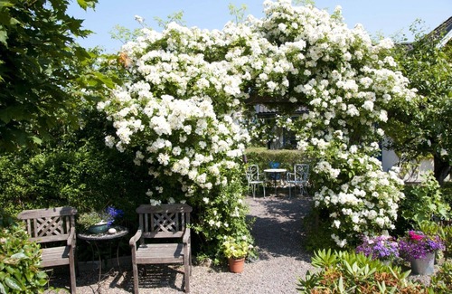 Lerberget House | Holidays in an old fishing village 75 meters from the west coast beach
