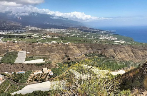 Tazacorte Apartment | Holidays in Tazacorte