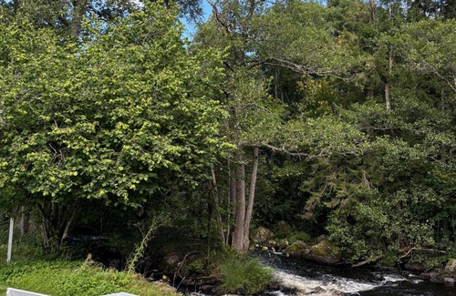Asarp House | Holidays on the Ätran river in a quiet and undisturbed location