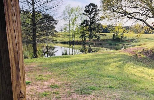 Minden Cabin | Holland Hill Cabin on a Pond