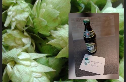 Wolnzach Apartment | Holledauer Hopfakammerl