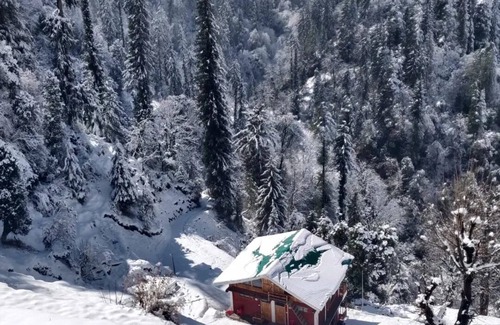 Shoja Cottage | Home Stay with 360 view@Mountain bliss cottage,Jibhi. 5kms away from Jalori Pass