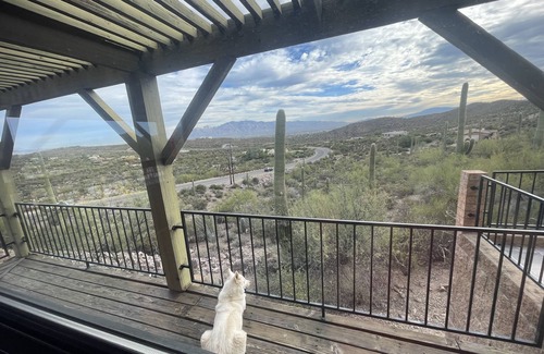 Tucson House | Home with lap pool, hot tub, and wonderful views