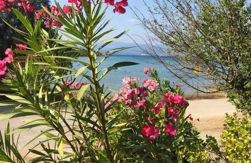 Chalcis Apartment | Homerez - 50 m away from the beach! Spacious appartement for 8 ppl. at Anthidona
