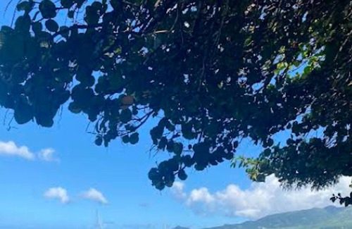 Saint-Pierre Apartment | Homerez - Appartement 1 km away from the beach for 3 ppl. with shared pool