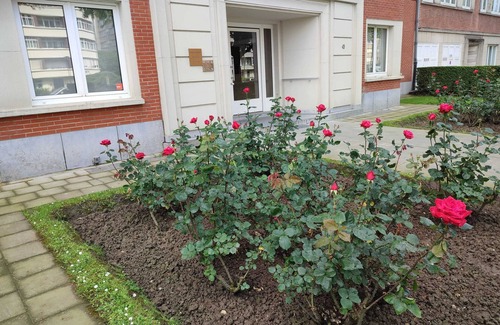 Etterbeek Apartment | Homerez - Apt. Etterbeek with balcony