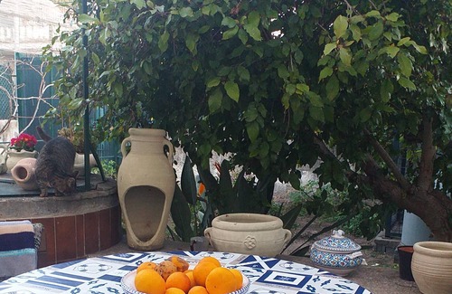 San Giorgio-Librino-San Giuseppe la Rena-Zia Lisa-Villaggio Sant'Agata Apartment | Homerez - Beautiful apartment With sea view and garden