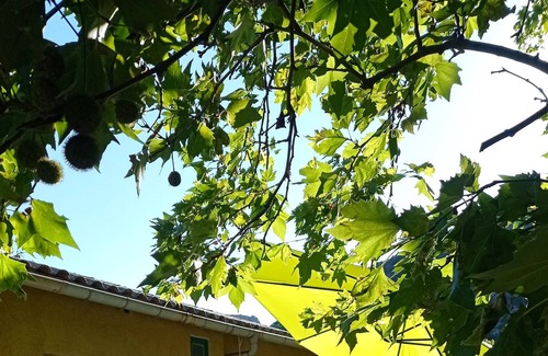 Gornies Apartment | Homerez - Big appartement for 10 ppl. with terrace at Gorniès