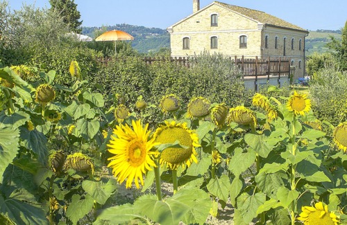 Montecarotto Villa | Homerez - Big villa for 20 ppl. with swimming-pool at Montecarotto