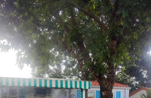 Saujon House | Homerez - Bungalow 10 km away from the beach for 4 ppl. with terrace at Saujon