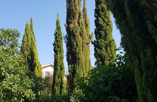 Ourem Apartment | Homerez - Charming studio in Matas with pool and jacuzzi