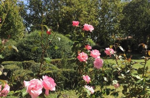 Arles House | Homerez - Cozy House in Arles with Garden and Private Parking