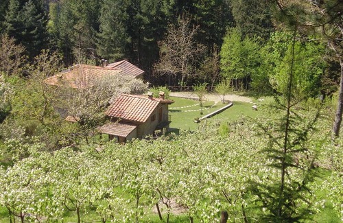 Moggiana House | Homerez - Cozy House in Bibbiena + Pool and Garden