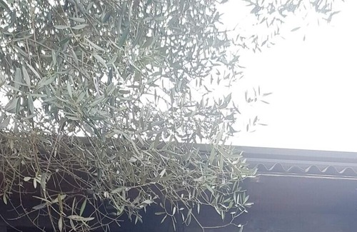Sant'Antonio Abate House | Homerez - House 5 km away from the beach for 4 ppl. at Sant'Antonio Abate