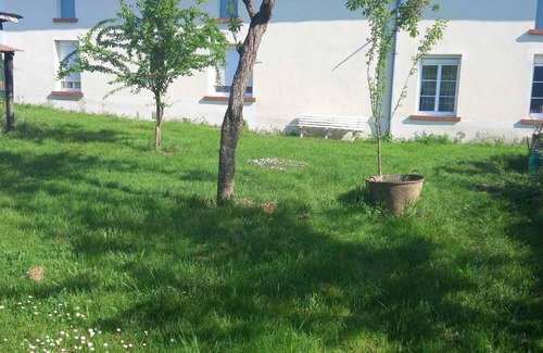 Chepy House | Homerez - House in Chepy with garden