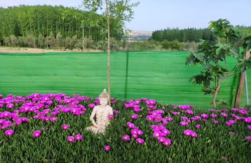 Guadix Apartment | Homerez - Nice appartement for 4 ppl. with shared pool and terrace at Purullena