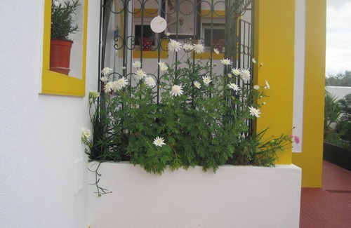 Alandroal House | Homerez - Spacious House in Alandroal with Garden