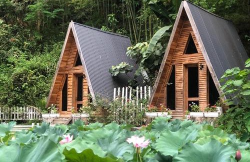Dien Bien Other | Homestay Điện Biên- Thung Lũng Hoa Hồng