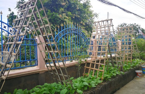 Chiang Rai House | Homestay and vegetable garden, non-toxic.