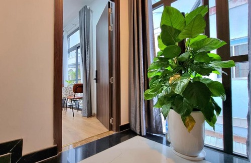 Ho Chi Minh City House | Homestay cao cấp Quận Phú Nhuận