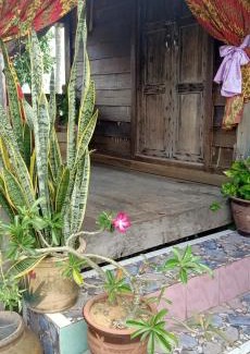 Kampung Permatang Janggus House | Homestay Damai Sri Kota