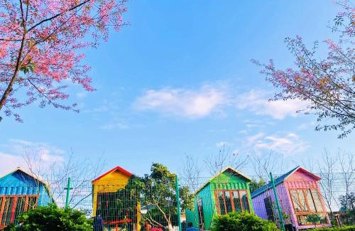 Moc Chau Apartment | Homestay Gió Mộc