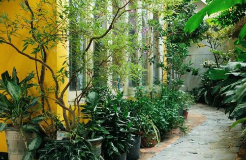 Hoa Thanh House | Homestay in Tay Ninh