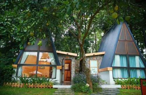 Ba Vi Cabin | Homestay Interconnection Ba Vì - Hà Nội