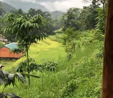 Thong Nguyen Cabin | Homestay Khoáng nóng Thông Nguyên