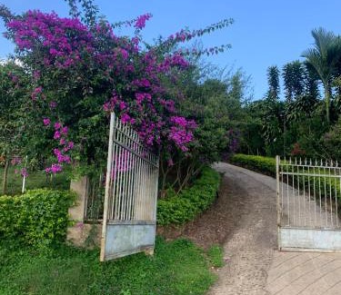 Bao Loc House | HOMESTAY Mộng Mơ