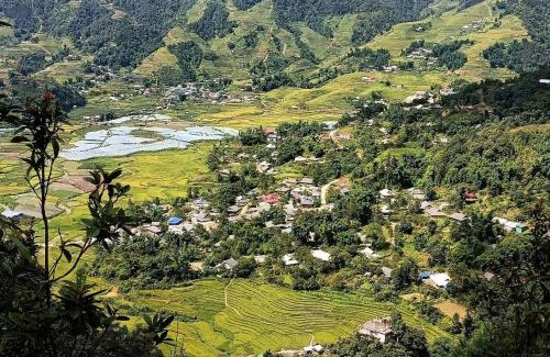 Sa Pa House | Homestay Núi Đá Tả Phìn