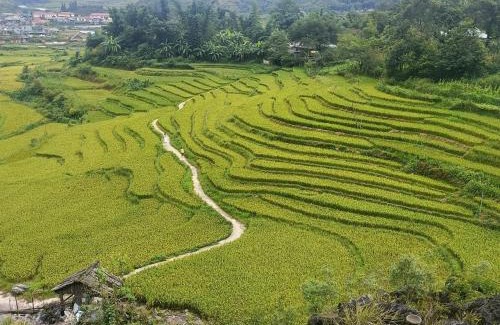 Sa Pa House | Homestay Núi Đá Tả Phìn