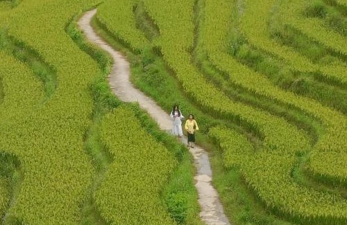 Sa Pa House | Homestay Núi Đá Tả Phìn