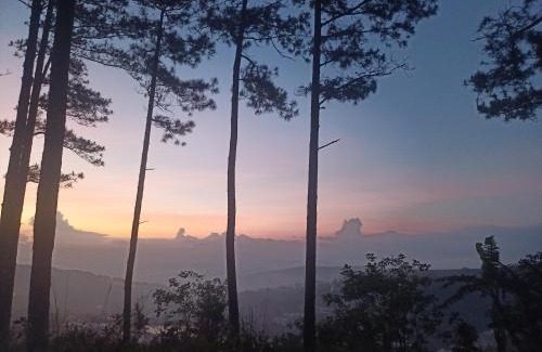 Da Lat House | Homestay Nhà Ven Rừng