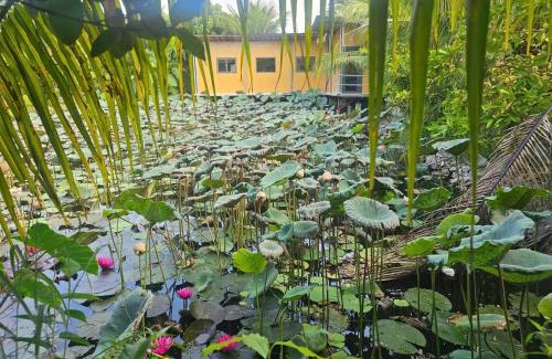 Vung Tau House | Homestay Sen & Zen Villa Vũng Tàu