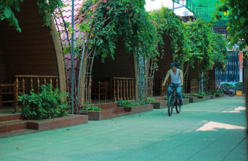 Tri Ton House | Homestay Tuyết Anh
