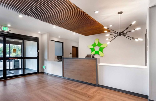 Asheville House | Homey Stay Experience with Fully Equipped Kitchens & Laundry Facility - Off I-240