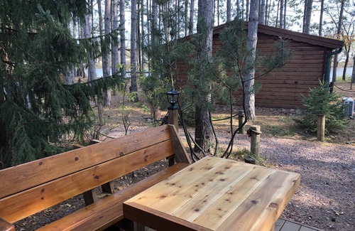 Hayward Cabin | Honey Bear Hideaway - studio cabin in the heart of hayward!