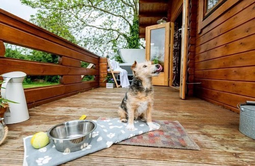 Broadwas Cottage | Hop Pickers Cabin - sleeps 4 guests in 2 bedrooms