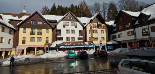 Rokytnice nad Jizerou Apartment | Horský apartmán ROKY - Krkonoše