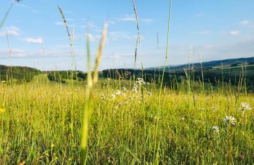 Vaclavov u Bruntalu Apartment | Horský apartmán Václavov